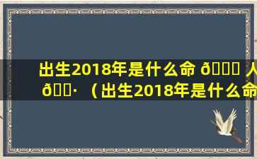 出生2018年是什么命 🐒 人 🌷 （出生2018年是什么命人属相）